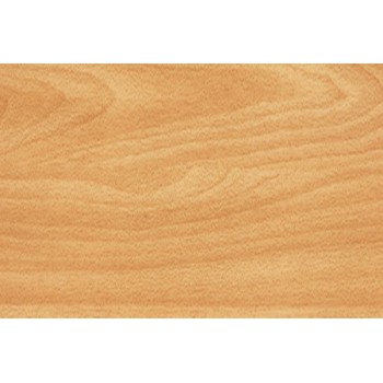 Beech